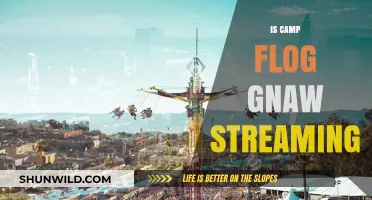 Is Camp Flog Gnaw Streaming? Your Ultimate Guide to Watching