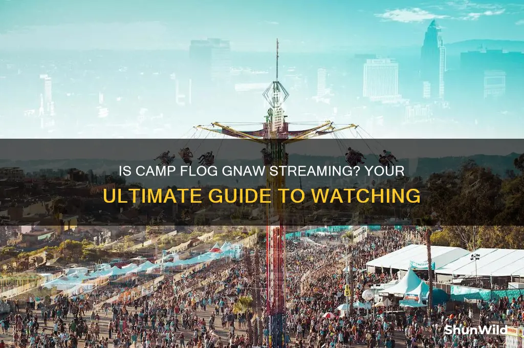 is camp flog gnaw streaming