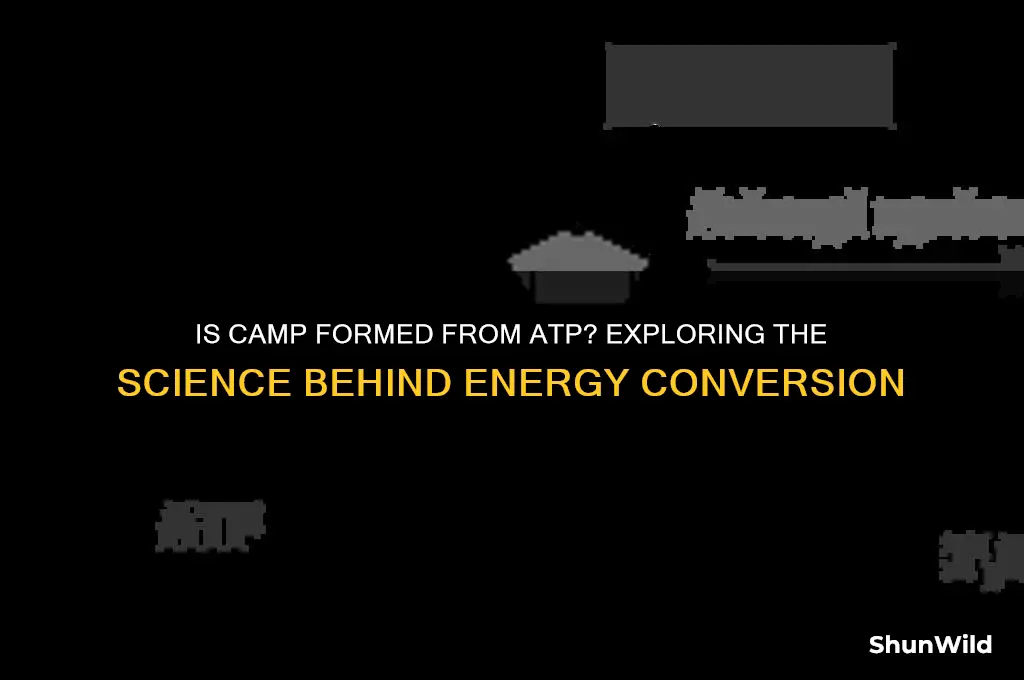 is camp formed from atp