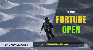 Is Camp Fortune Open? Latest Updates and Opening Hours