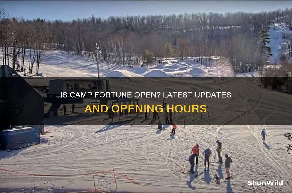 is camp fortune open