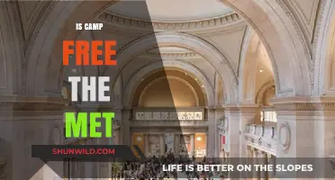 Is Camp Free at The Met? Exploring Museum Admission Policies