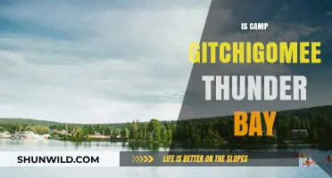 Exploring Camp Gitchigomee: Thunder Bay's Hidden Gem and Adventure Hub