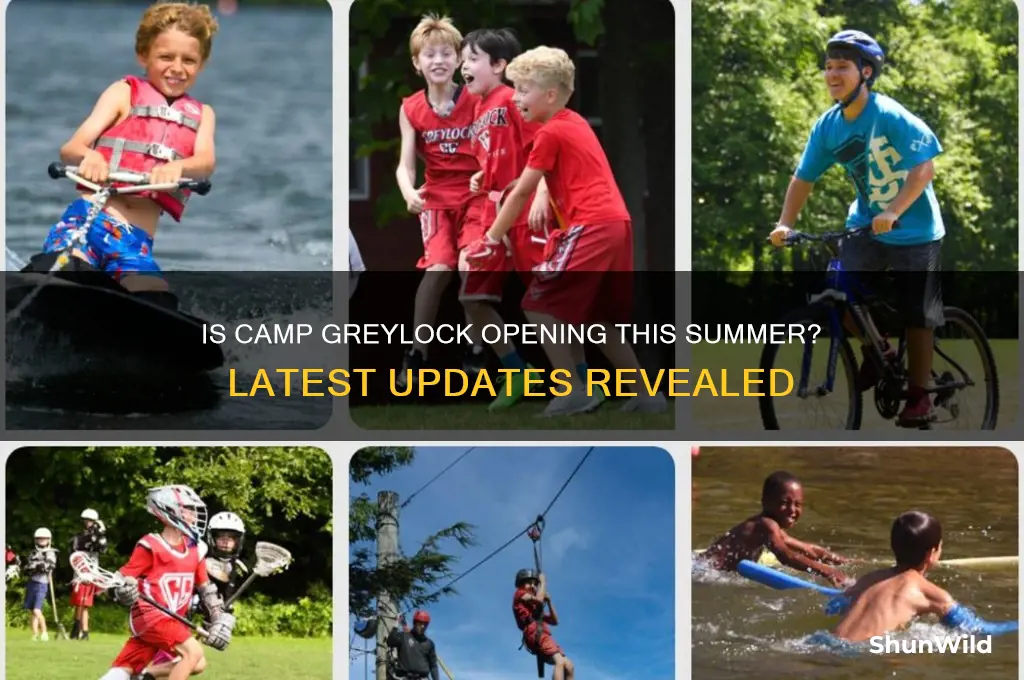 is camp greylock opening