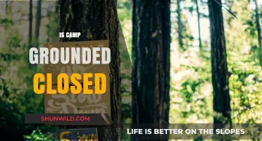 Is Camp Grounded Closed? Updates on the Summer Camp's Status
