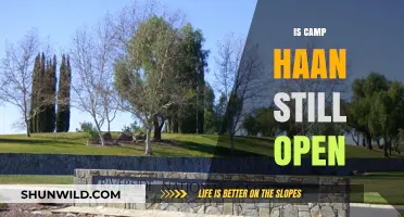 Is Camp Haan Still Open? Exploring Its Current Status and Future