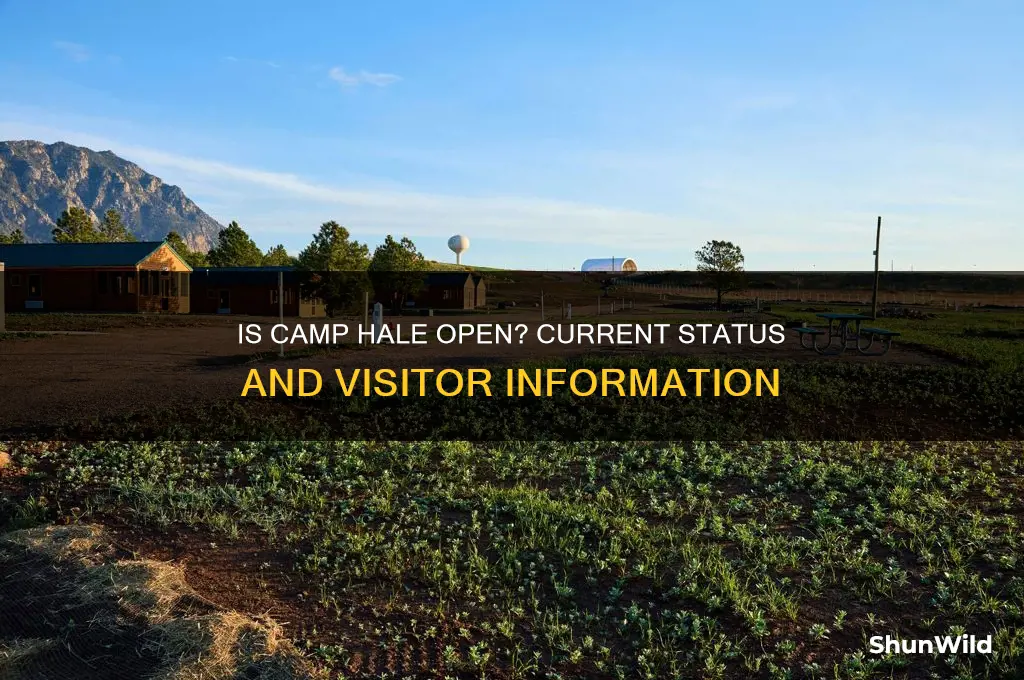 is camp hale open