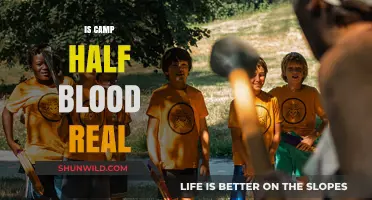 Is Camp Half-Blood Real? Unveiling the Myth Behind Percy Jackson's World