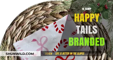 Is Camp Happy Tails a Recognizable Brand? Exploring Its Identity