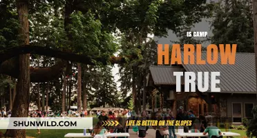 Unveiling the Truth: Is Camp Harlow Fact or Fiction?
