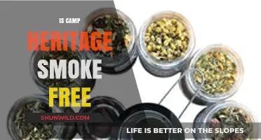 Is Camp Heritage Smoke-Free? Exploring Policies and Guest Experiences