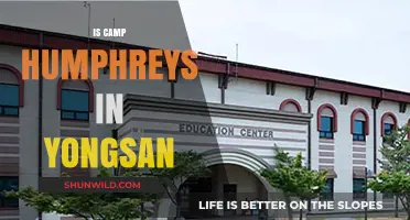 Camp Humphreys vs. Yongsan: Understanding the Relocation and Differences