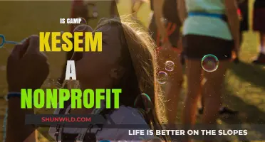 Is Camp Kesem a Nonprofit? Exploring Its Mission and Impact