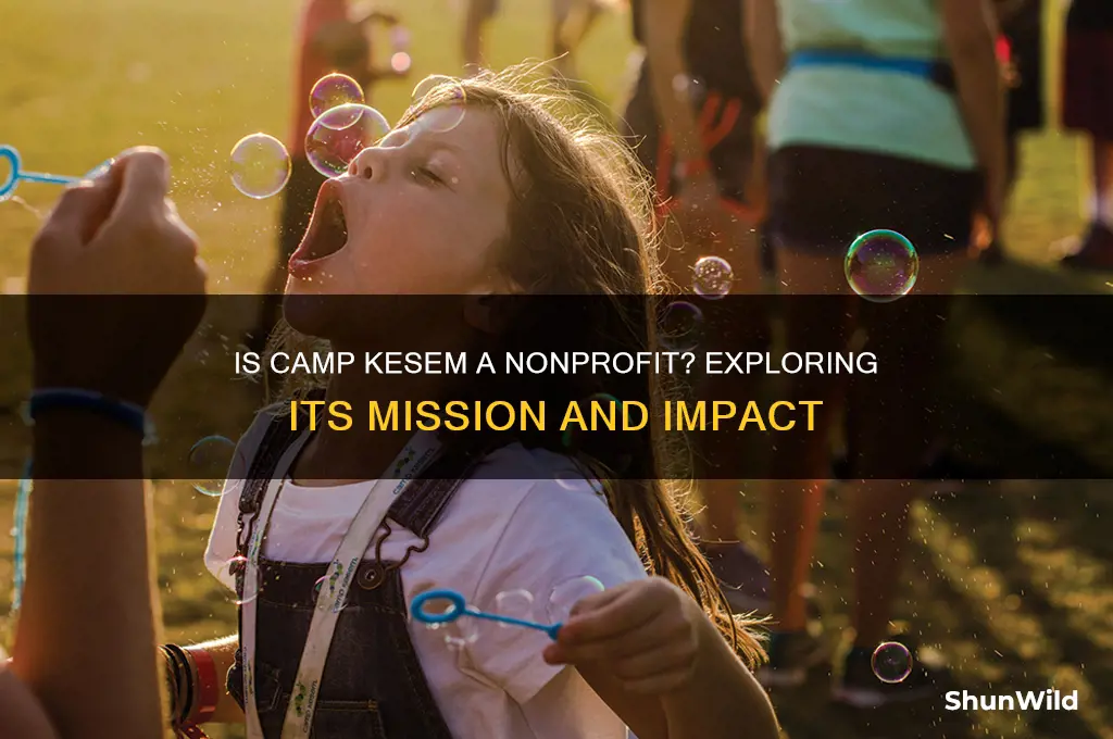 is camp kesem a nonprofit