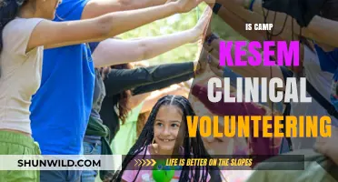Is Camp Kesem Clinical Volunteering? Exploring Opportunities and Impact