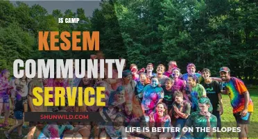 Is Camp Kesem Community Service? Exploring Its Impact and Benefits