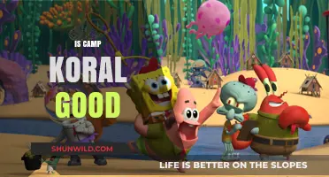 Is Camp Koral Worth Watching? A Honest Review and Analysis