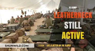 Is Camp Leatherneck Still Active? Current Status and Updates
