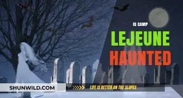 Is Camp Lejeune Haunted? Uncovering the Eerie Legends and Ghost Stories