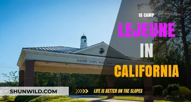 Is Camp Lejeune in California? Unraveling the Marine Base Location Mystery