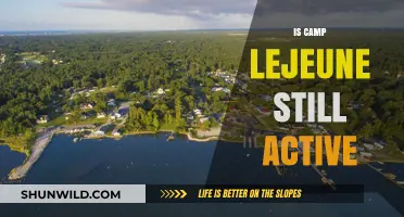 Is Camp Lejeune Still Active? Current Status and Operations Explained