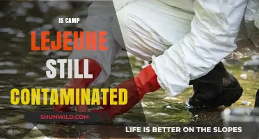 Is Camp Lejeune Still Contaminated? Uncovering the Truth and Risks