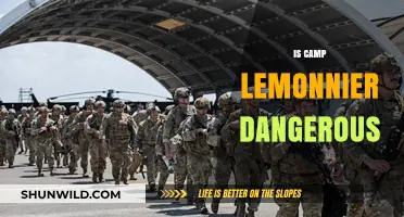 Is Camp Lemonnier Dangerous? Assessing Security Risks in Djibouti