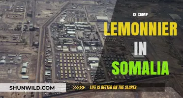 Is Camp Lemonnier in Somalia? Unraveling the Base's True Location