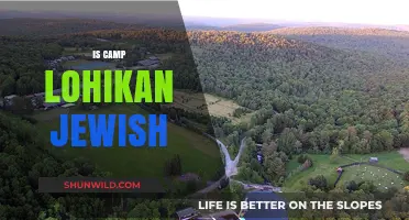 Is Camp Lohikan Jewish? Exploring the Camp's Cultural Background