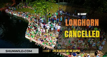 Is Camp Longhorn Cancelled? Updates and What You Need to Know