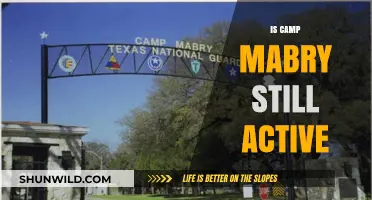 Is Camp Mabry Still Active? Exploring Its Current Status and Role