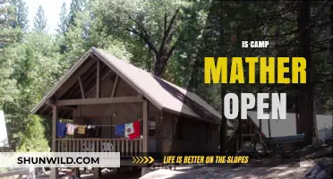 Is Camp Mather Open? Current Status and Visitor Updates