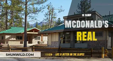 Is Camp McDonald's Real? Uncovering the Truth Behind the Viral Trend