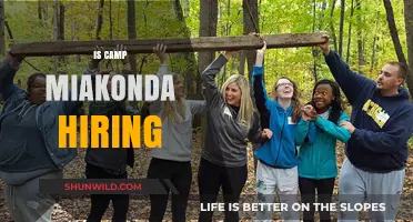 Is Camp Miakonda Hiring? Explore Job Opportunities and Join the Team