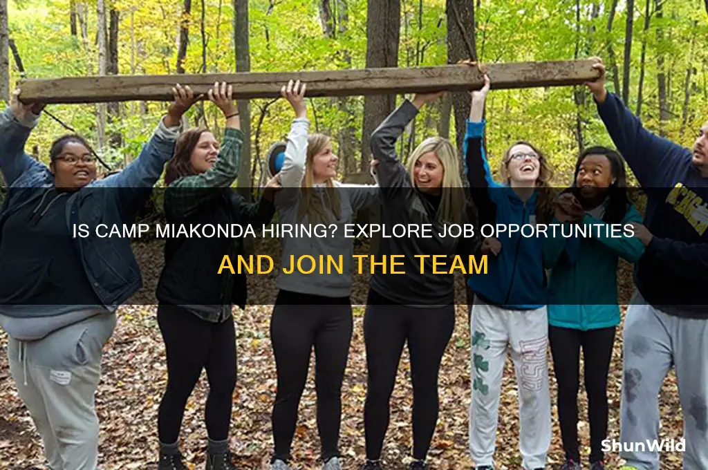 is camp miakonda hiring