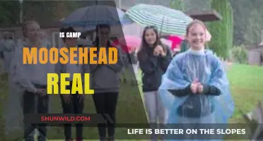Is Camp Moosehead Real? Uncovering the Truth Behind the Legend