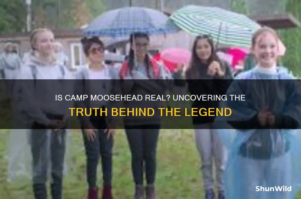 is camp moosehead real