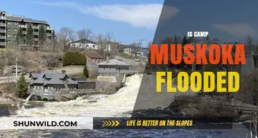 Is Camp Muskoka Flooded? Current Conditions and Updates