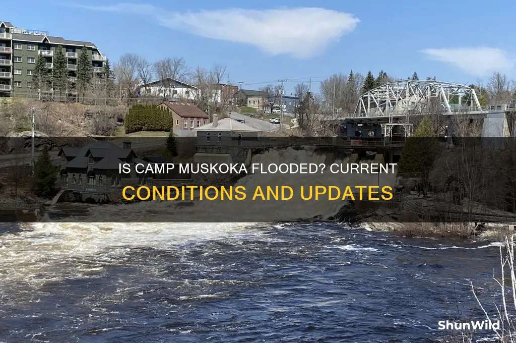 is camp muskoka flooded