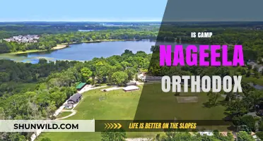 Is Camp Nageela Orthodox? Exploring Its Religious Affiliation and Practices
