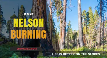 Is Camp Nelson Burning? Unraveling the Truth Behind the Rumors