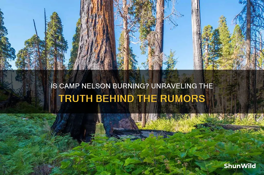 is camp nelson burning