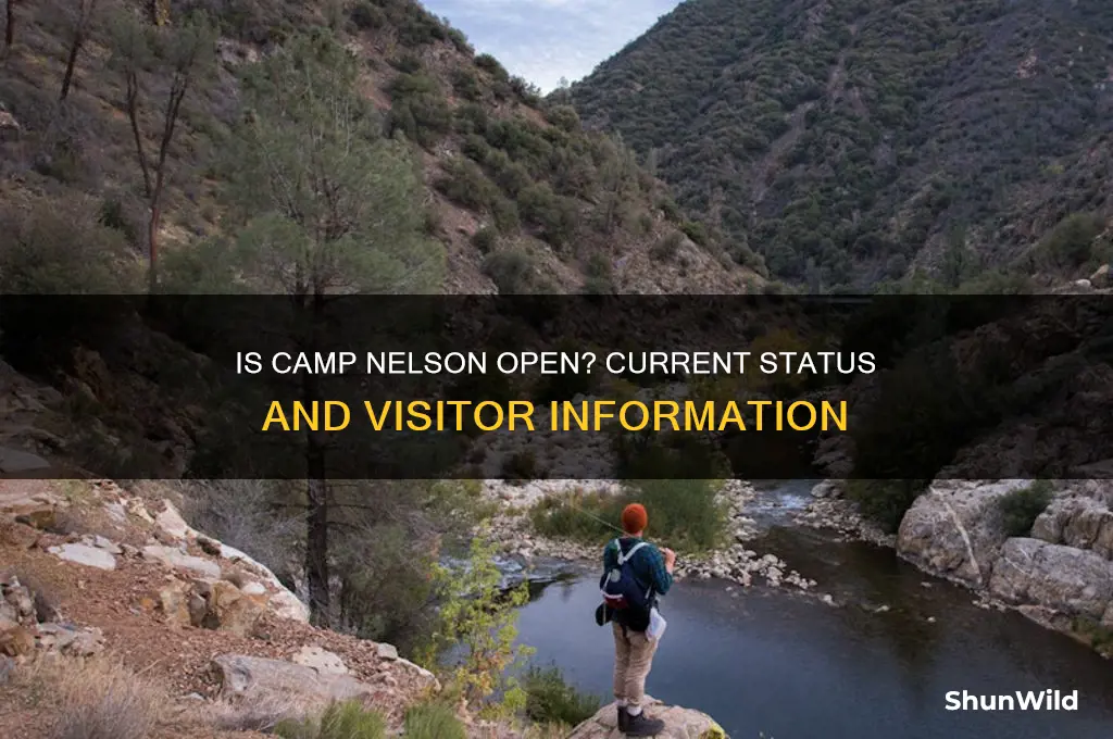 is camp nelson open