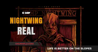 Is Camp Nightwing Real? Uncovering the Truth Behind the Legend