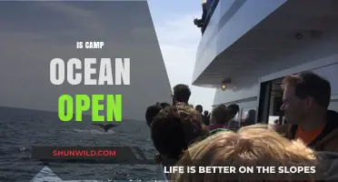 Is Camp Ocean Open? Your Guide to Availability and Activities