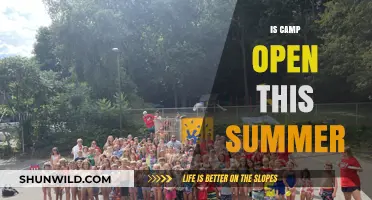Is Summer Camp Open This Year? Dates, Safety, and Registration Updates