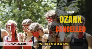 Is Camp Ozark Cancelled? Latest Updates and What You Need to Know