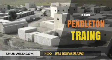 Is Camp Pendleton Training Effective for Modern Military Operations?