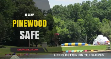 Is Camp Pinewood Safe? Uncovering the Truth About Safety Concerns
