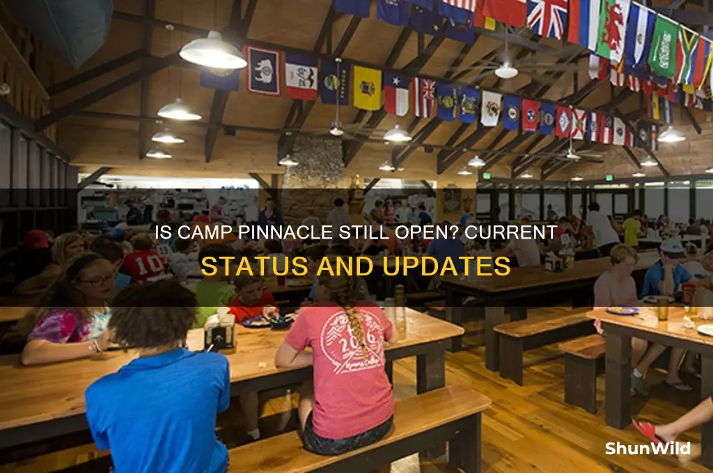 is camp pinnacle still open